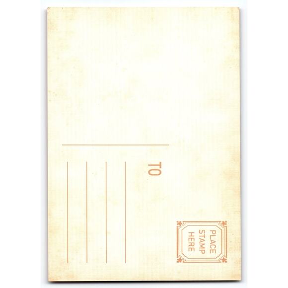 Vintage Halloween Black Cat & Bats Postcard with Full Moon Orange Chrome - Picture 2 of 2